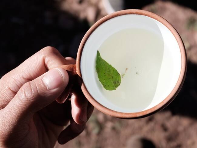 ¿Son legales los productos a base de hoja de coca que se venden en el país?