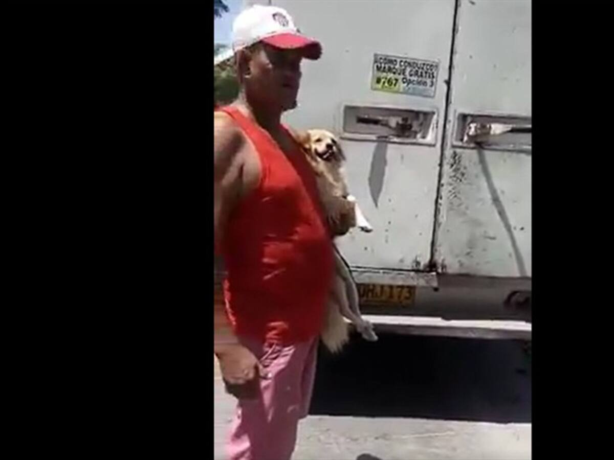 Denuncian vehículo que estaría recolectando animales en Barranquilla