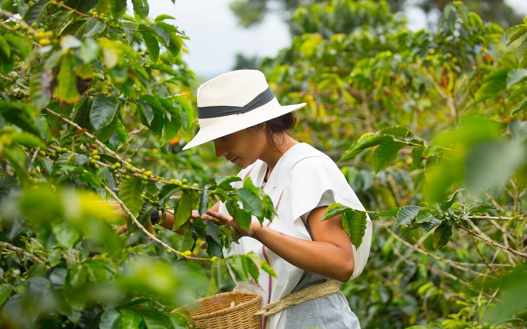 Nariño, llevando café hasta el espacio
