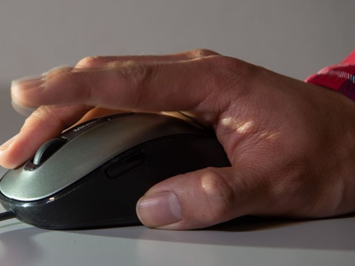 El formulario del Gobierno que pregunta a futuros funcionarios su orientación sexual