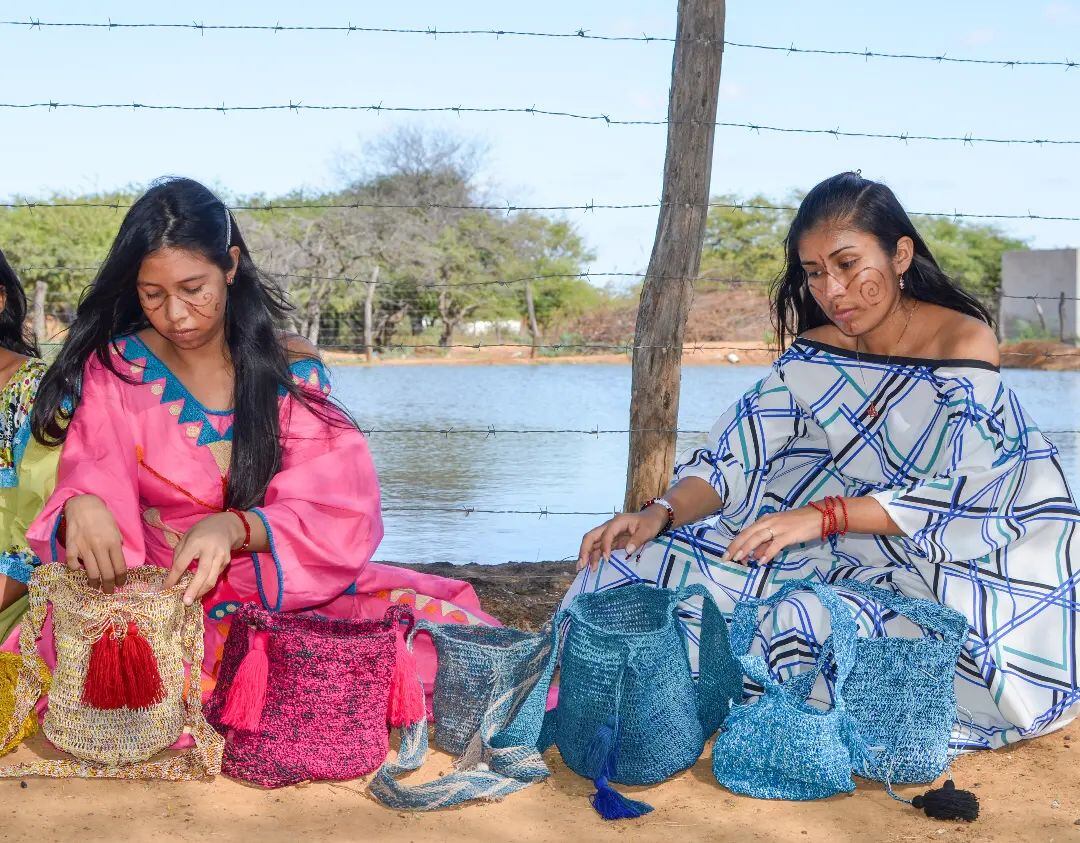 Las mochilas están fabricadas con un 70% de plástico reciclado. | Foto: tomada de @Kattoui2021