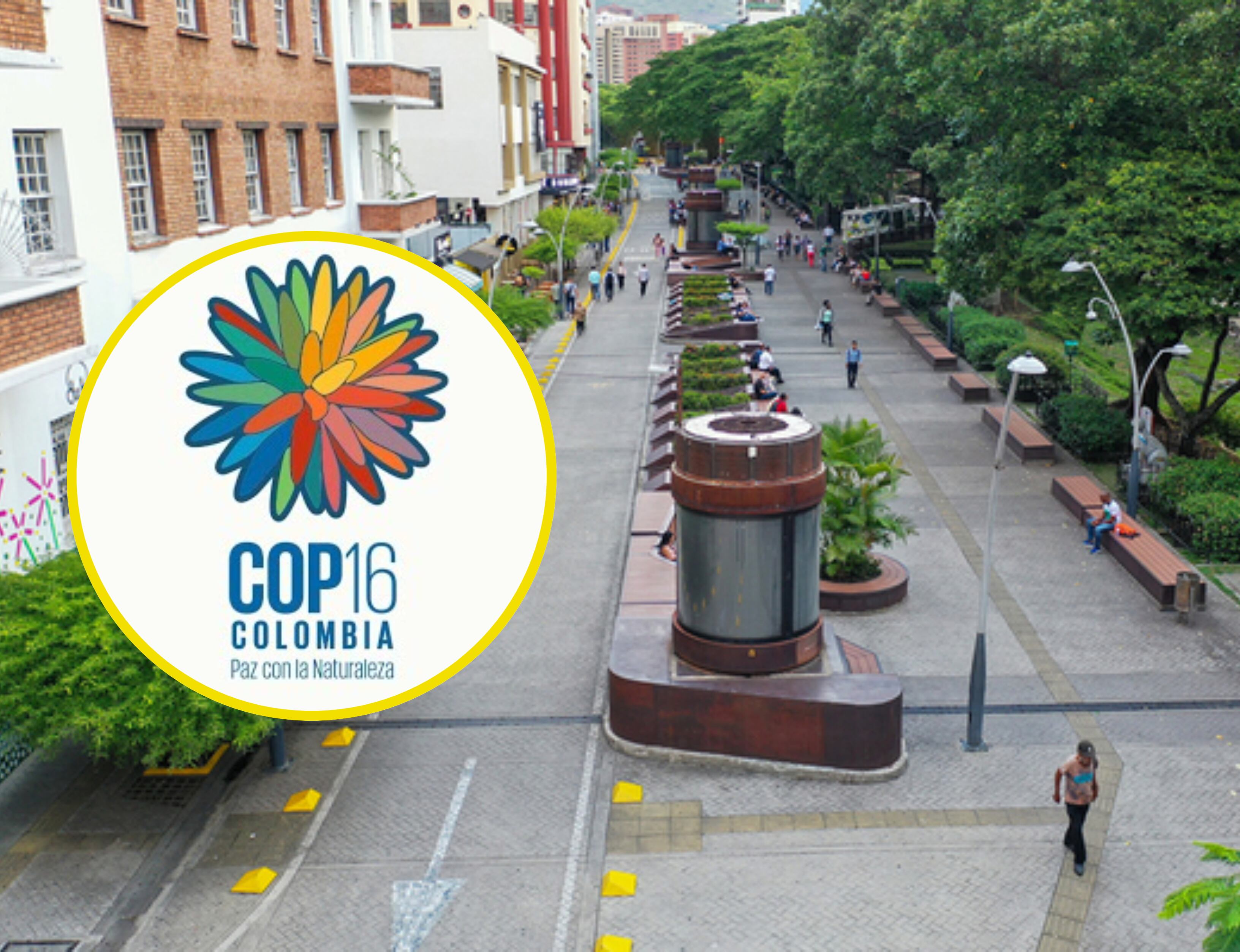 Bulevar del Río en Cali | Foto: Alcaldía de Cali