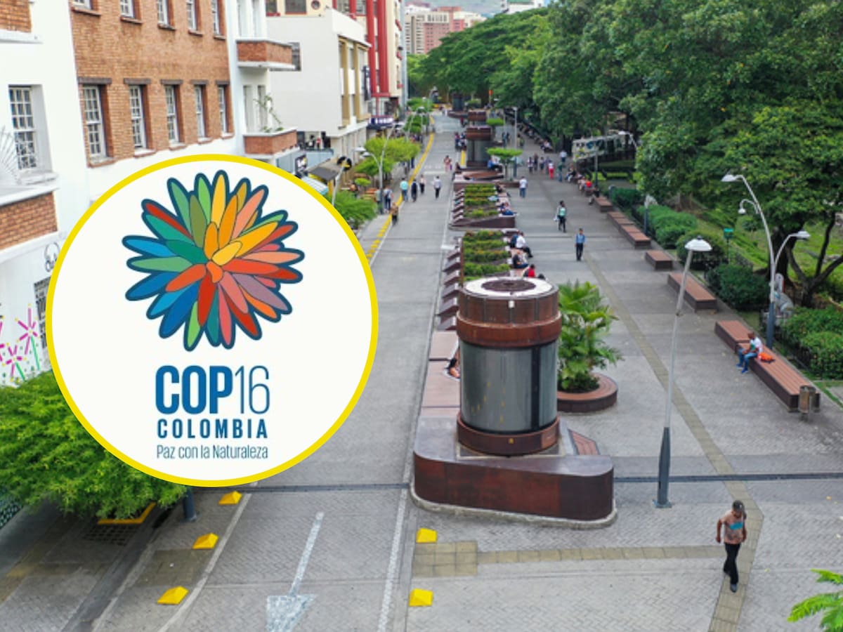 ¿Qué son la Zona Verde y la Zona Azul de la COP16?