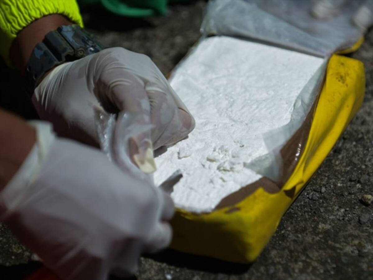 Cae red de narcotráfico que enviaba cocaína a Estados Unidos