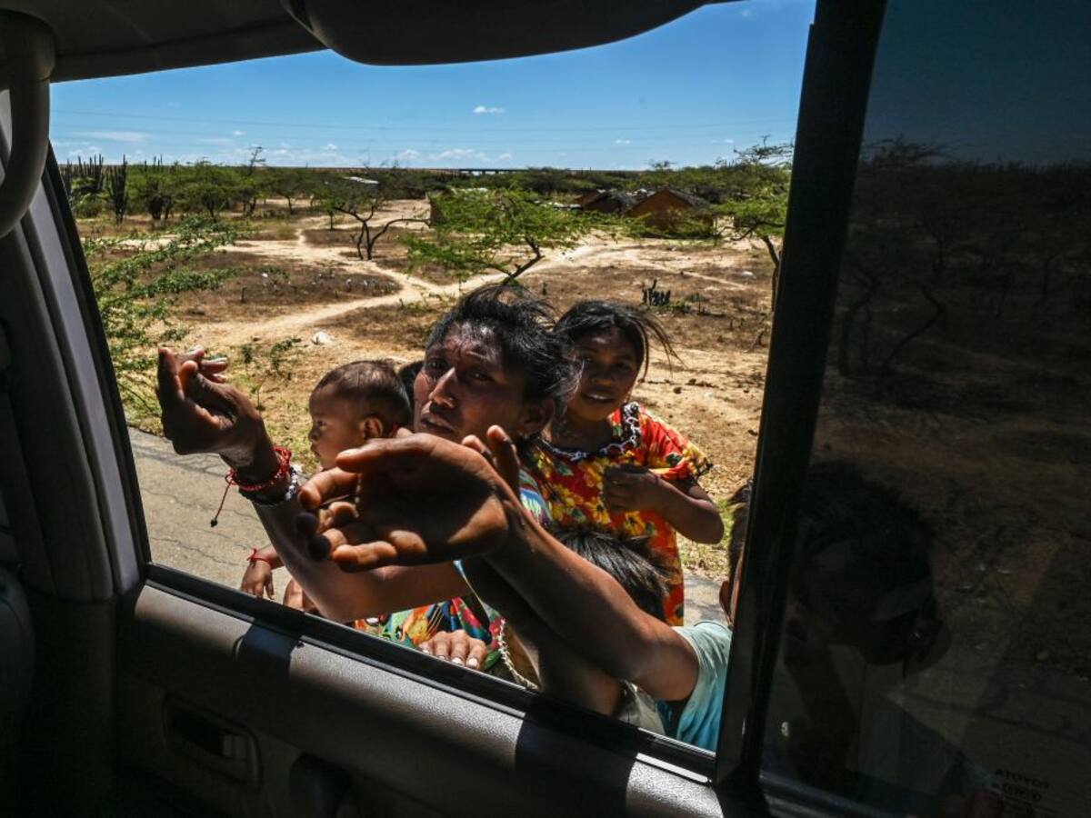 Niños sin colegios y presunta explotación laboral: cruda realidad en La Guajira