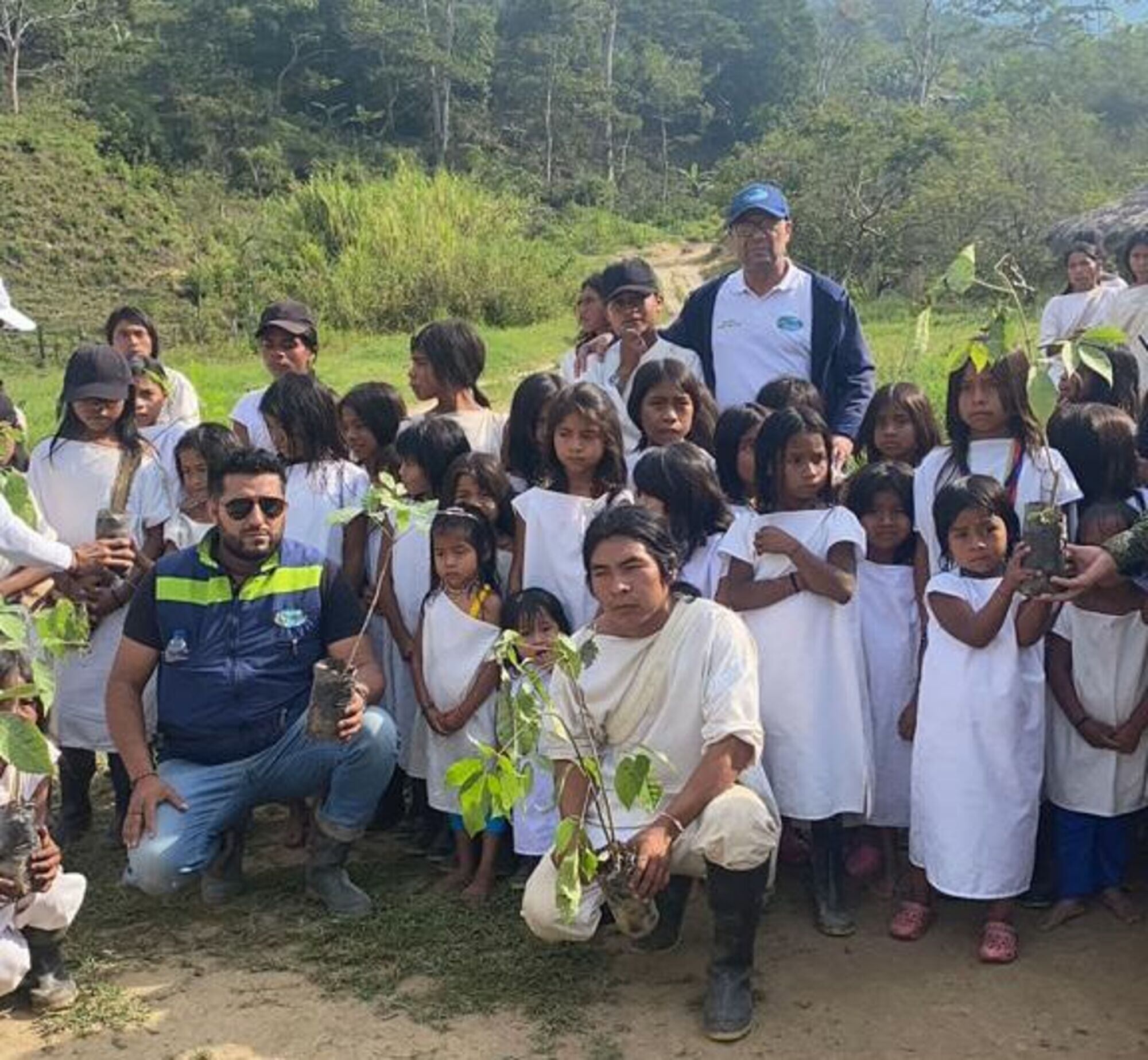 Siembra de árboles/ Corpamag