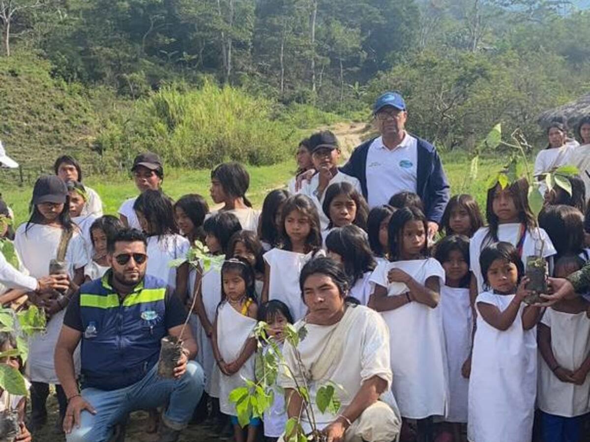 Sembrados 200 árboles en la Sierra Nevada de Santa Marta