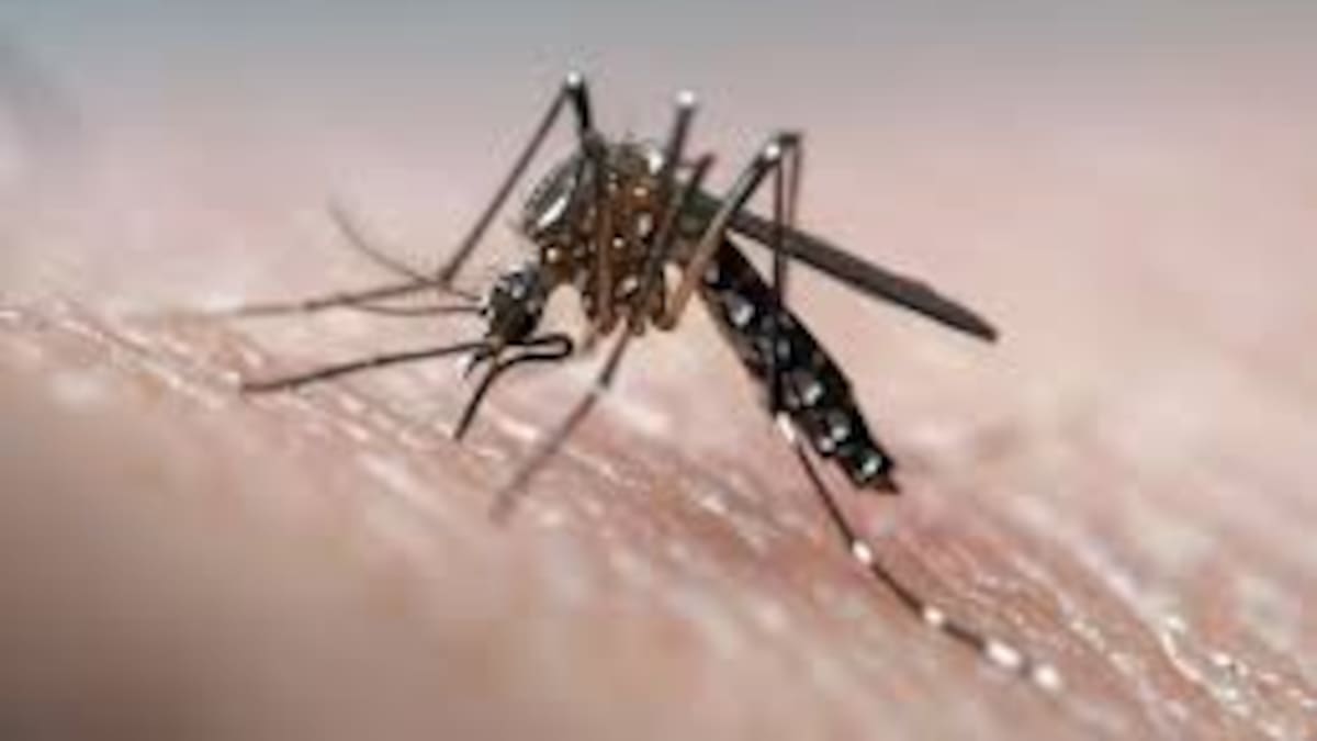 Alarma por aumento de casos de dengue en 20 municipios de Córdoba