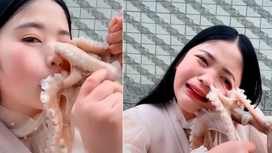 Bloggera es atacada por un pulpo cuando intentaba comérselo vivo. Foto: Captura de video