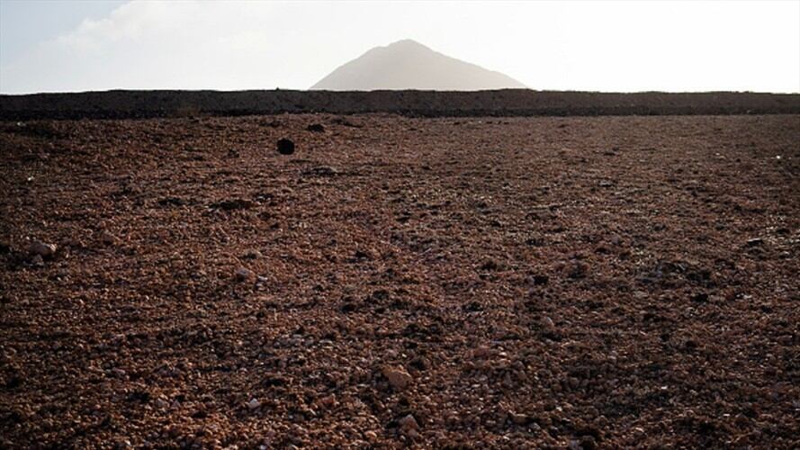 Ocho países de Europa piden "actuar ahora" por el clima. Foto: Getty Images