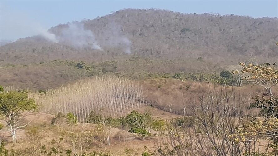 Los incendios siguen afectando a la zona conocida como Bajo grande. Foto: Cortesía