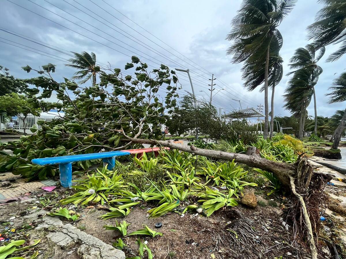 Procuraduría reporta daños en 150 casas por huracán Julia en San Andrés