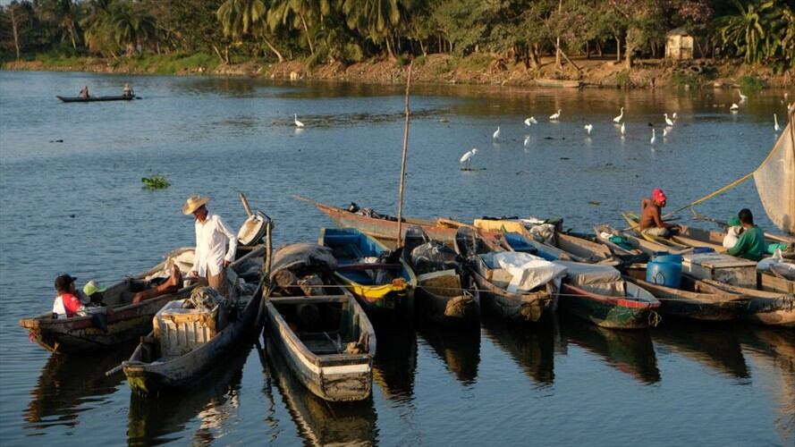 Expertos advierten que la Cuenta del Río Magdalena se está muriendo por contaminación. Foto: Getty Images