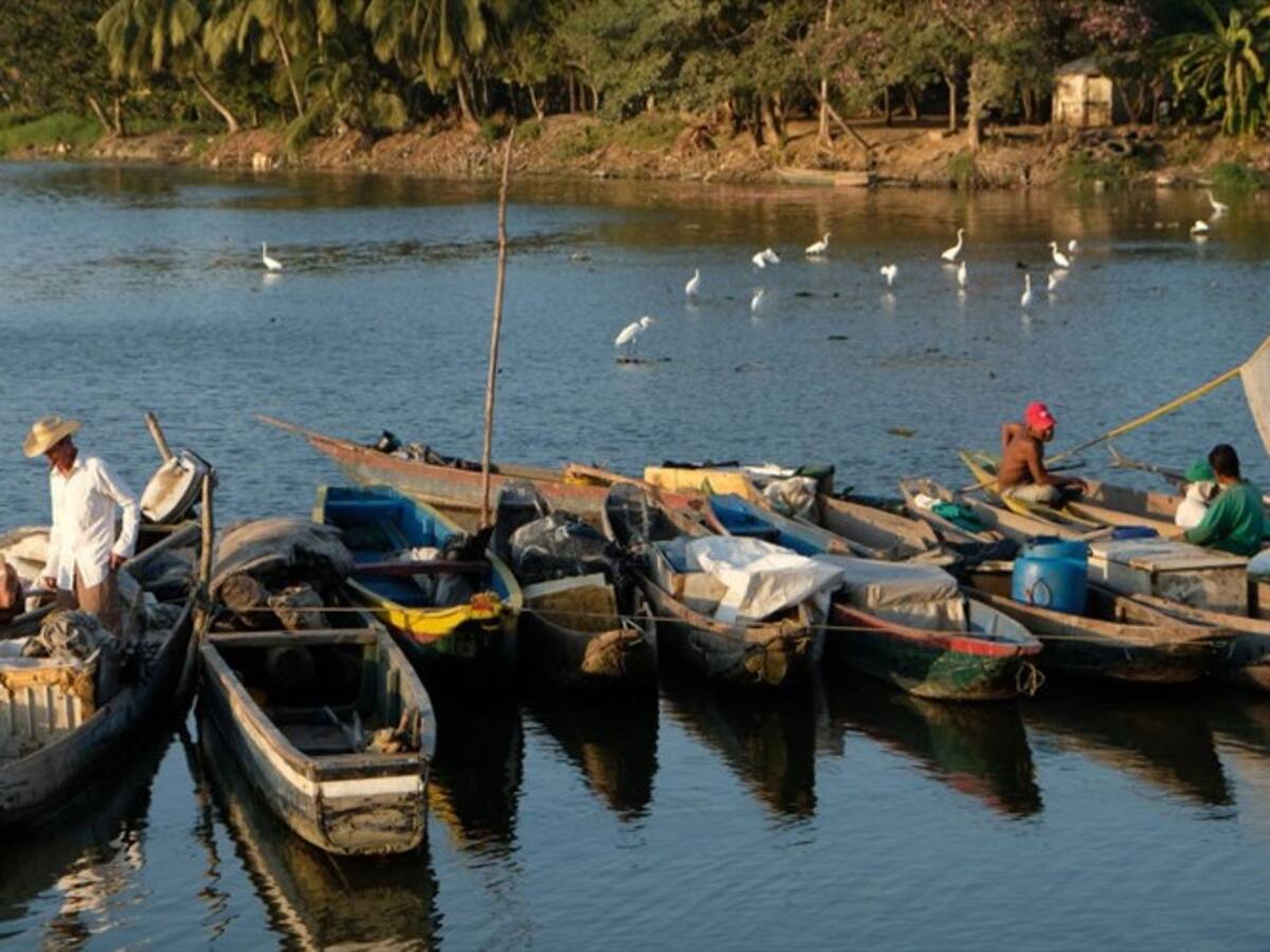 Expertos advierten que la Cuenca del Río Magdalena se está muriendo por contaminación
