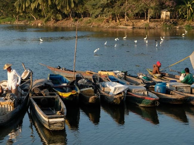 Expertos advierten que la Cuenta del Río Magdalena se está muriendo por contaminación. Foto: Getty Images