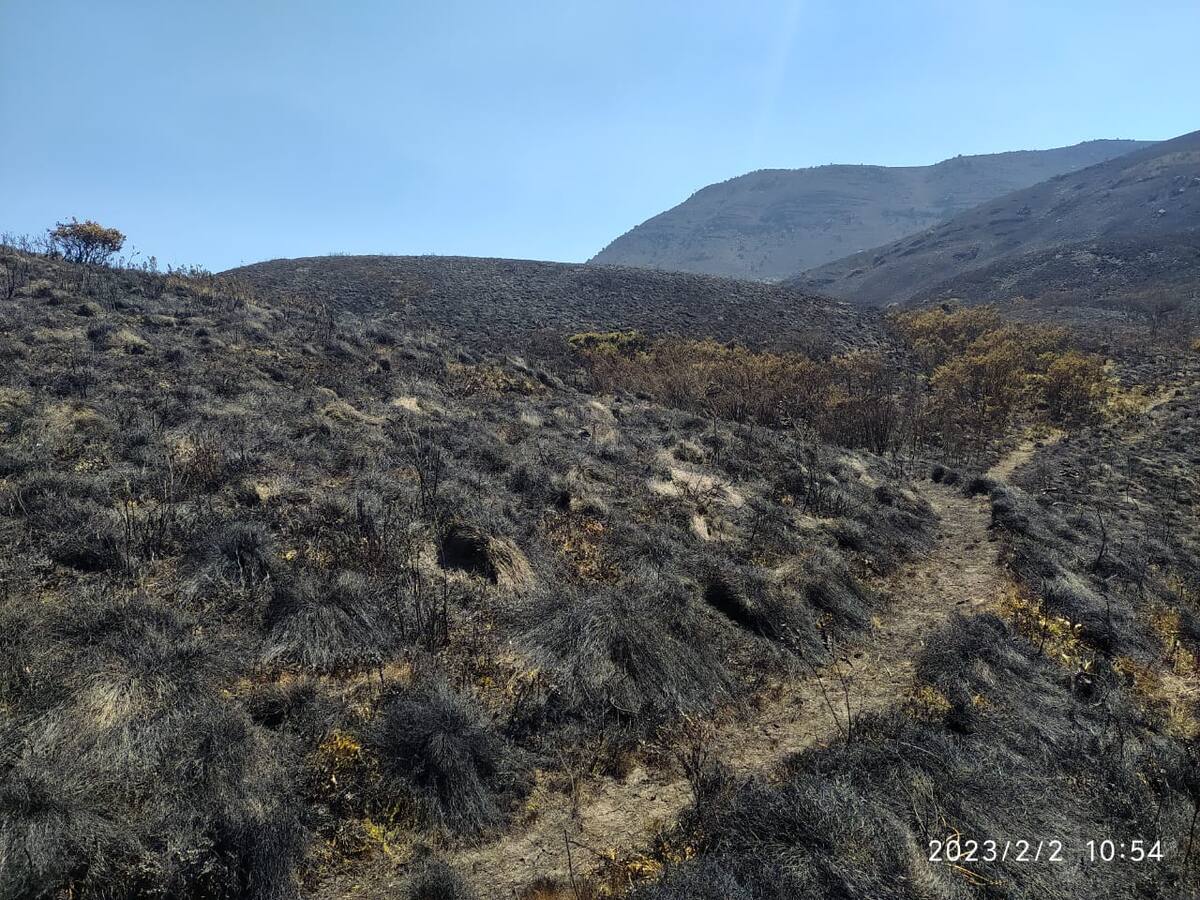 Incendio dejó más de 2.000 hectáreas quemadas en páramo Las Alfombras en Boyacá