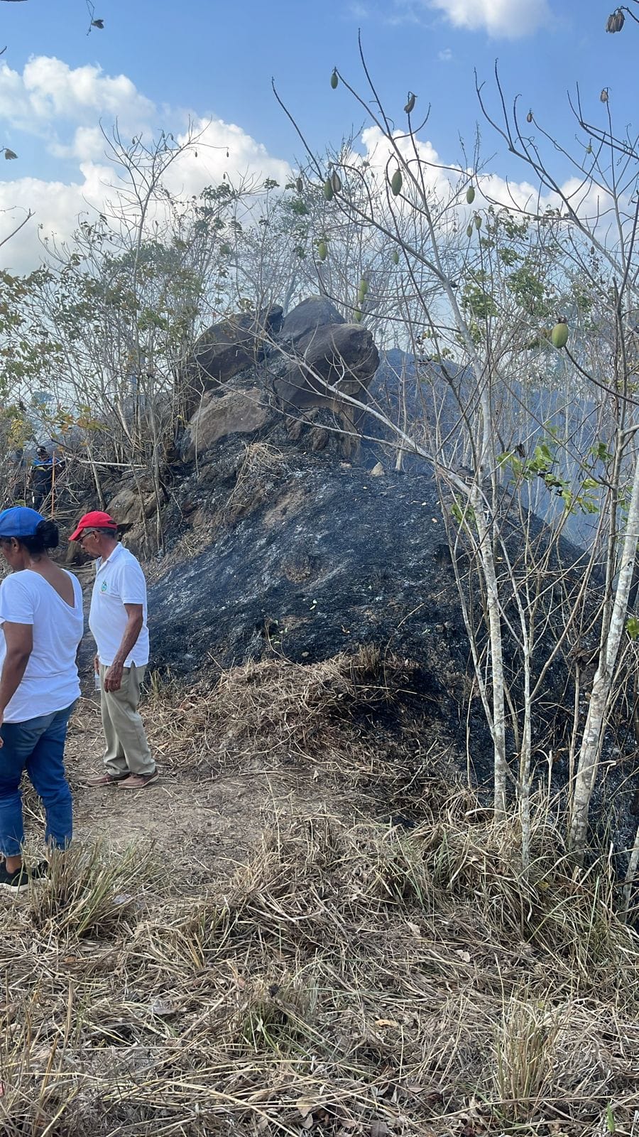 Incendio en el cerro Colosiná, San Carlos, Córdoba. Foto: prensa Alcaldía de San Carlos.