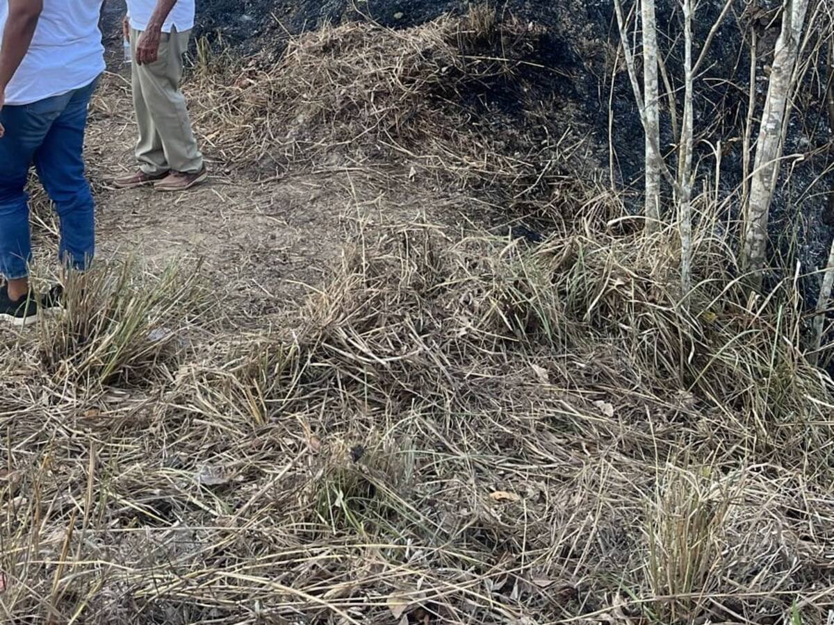 Reportan otro incendio forestal en Córdoba: cerca de 3 hectáreas se vieron afectadas