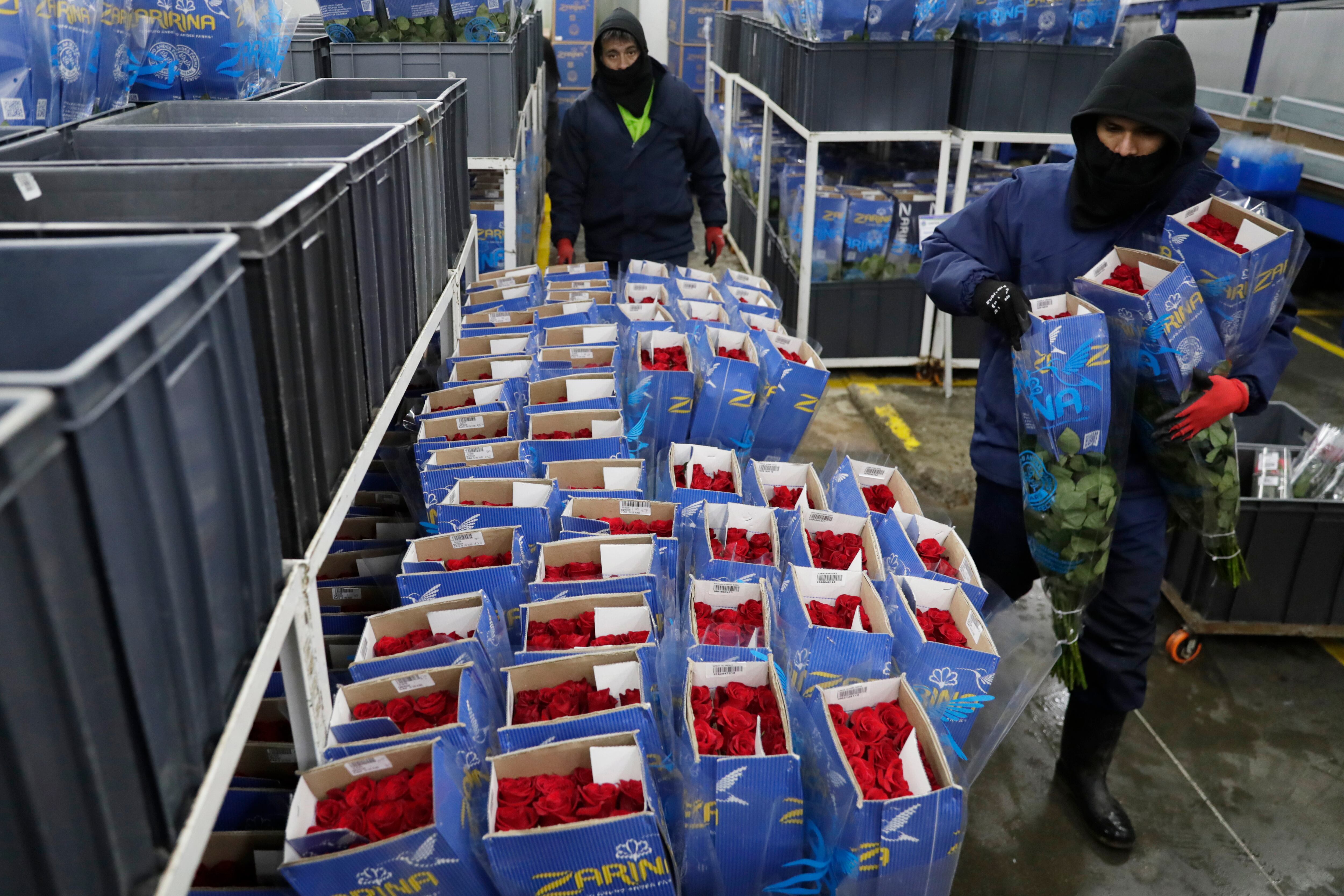 Flores colombianas. Foto: EFE.