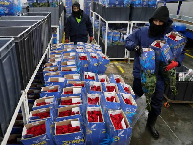 Flores colombianas. Foto: EFE.