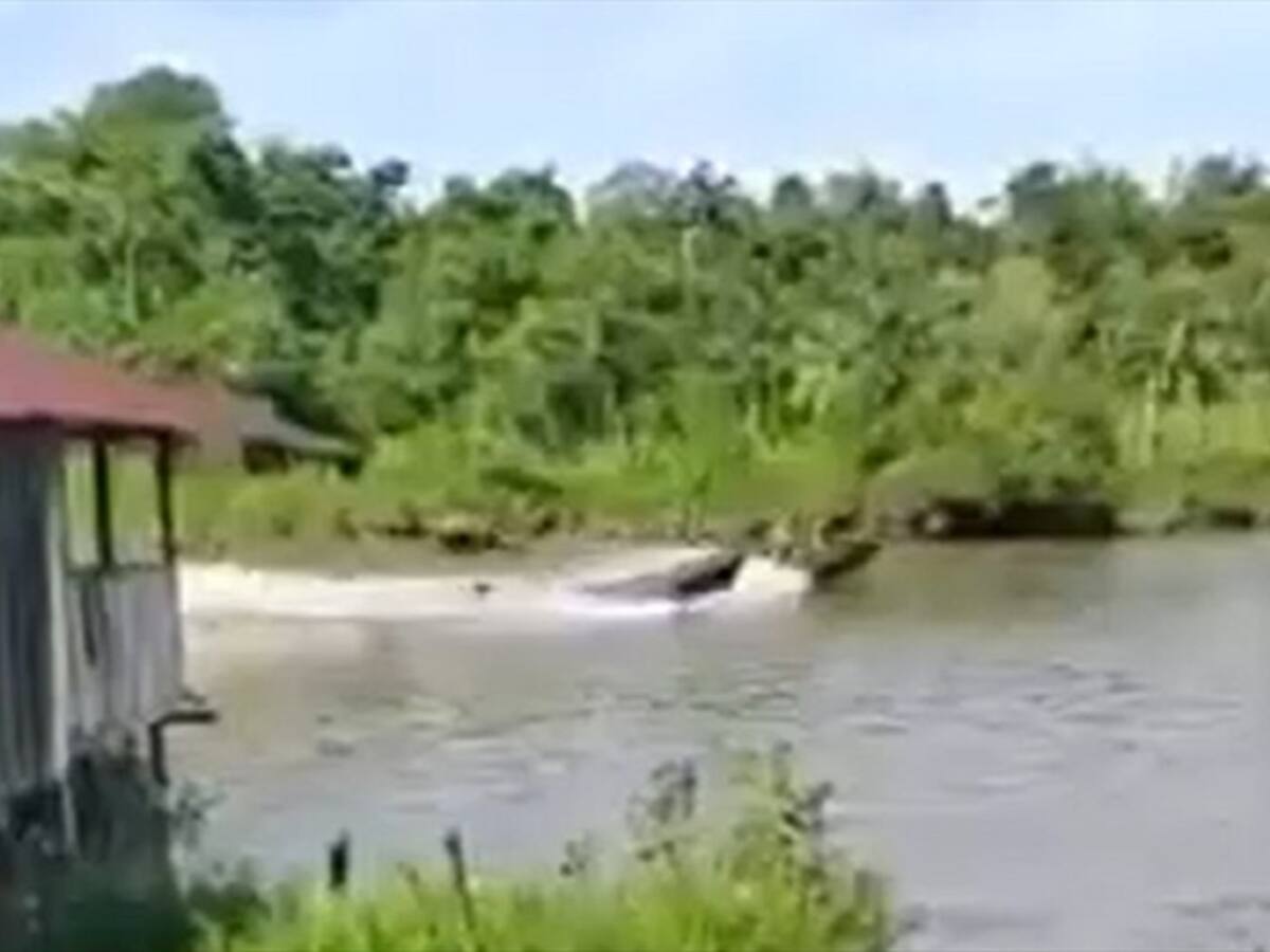 Denuncian que fuertes combates pusieron en riesgo a la población civil en Timbiquí, Cauca