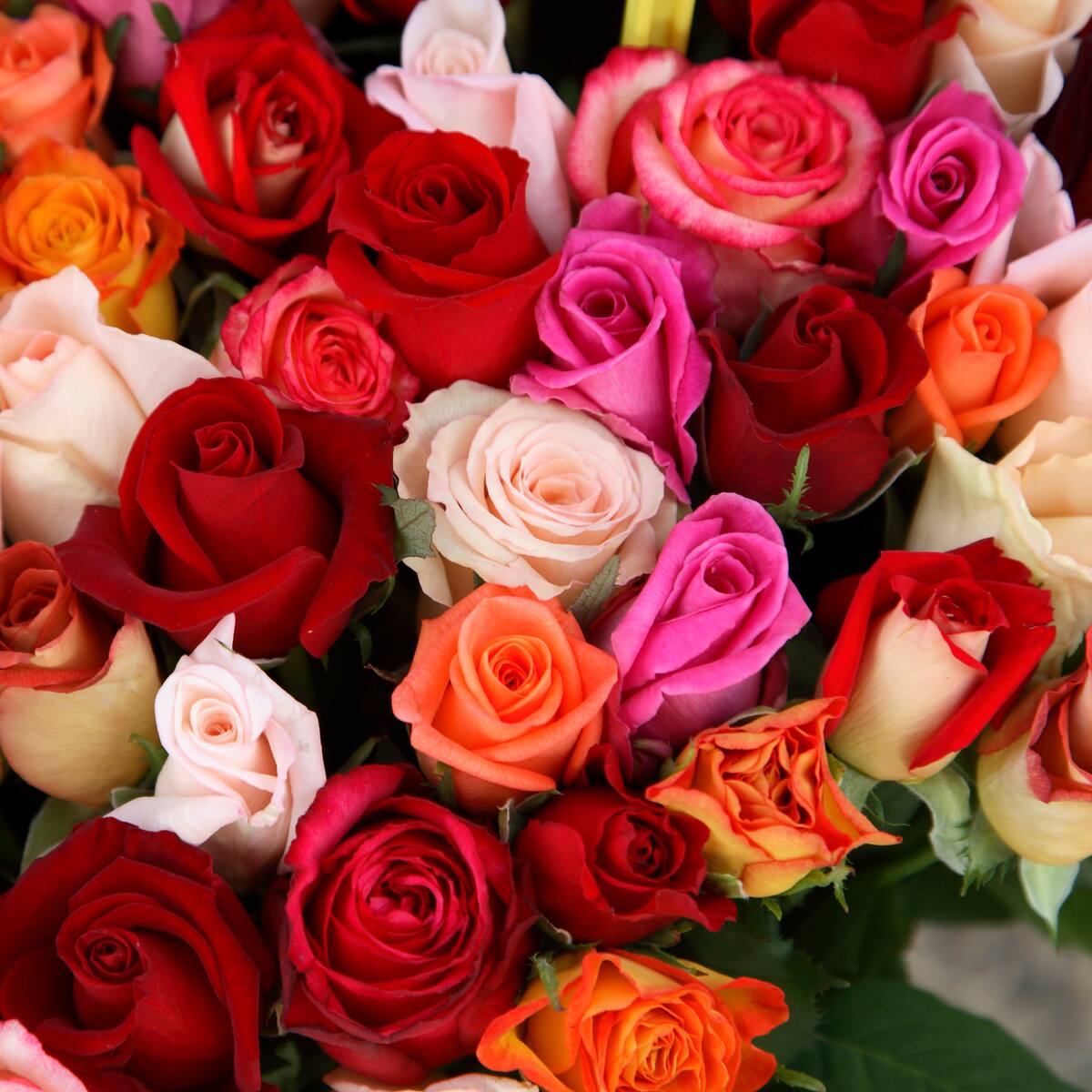 W Radio entrega arreglos florales de daFlores para San Valentín