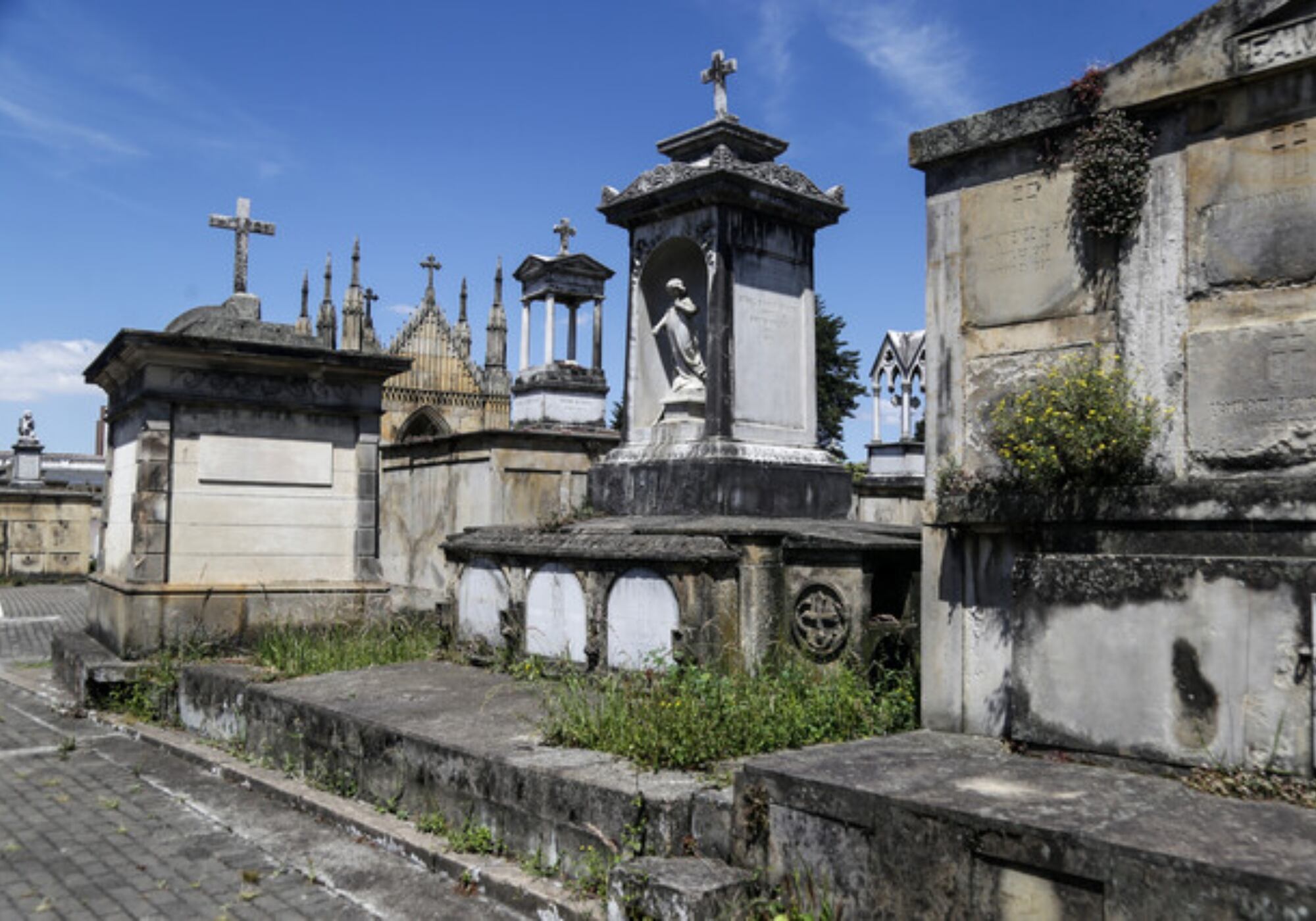 Cementerios distritales. Foto: Colprensa - Catalina Olaya