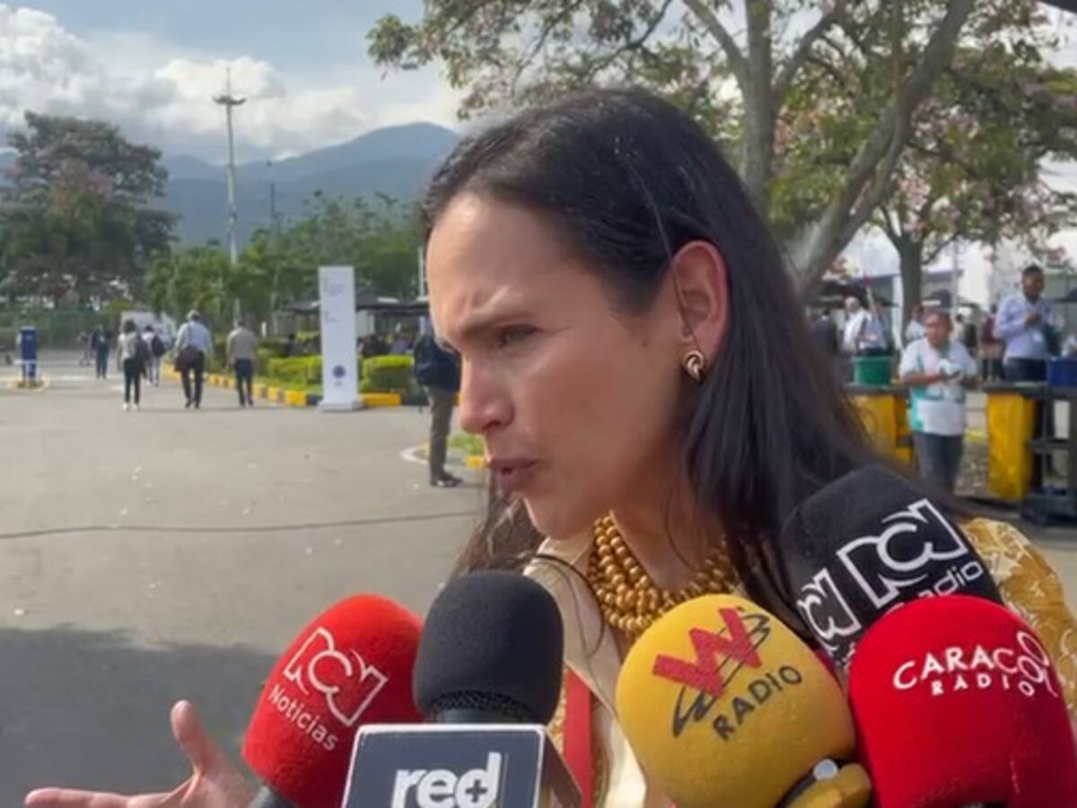 Colombia retomaría, a futuro, venta de energía a Ecuador cuando aumente nivel de embalses