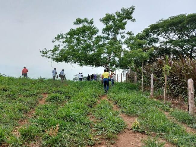 31 predios que fueron despojados por Salvatore Mancuso ya están en proceso de restitución