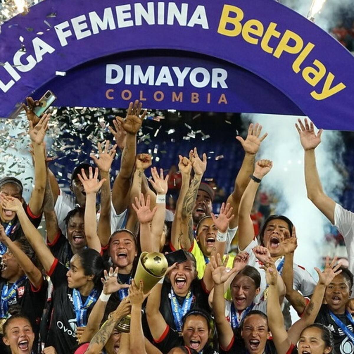 Desde el Congreso denuncian cartelización de la Liga Profesional Femenina de Fútbol