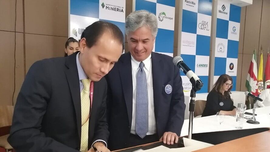 El director de Andeg, Alejandro Castañeda, sostuvo que desde el mes de octubre de 2019 la generación a carbón “ha venido a plena carga".. Foto: Fenalcarbón