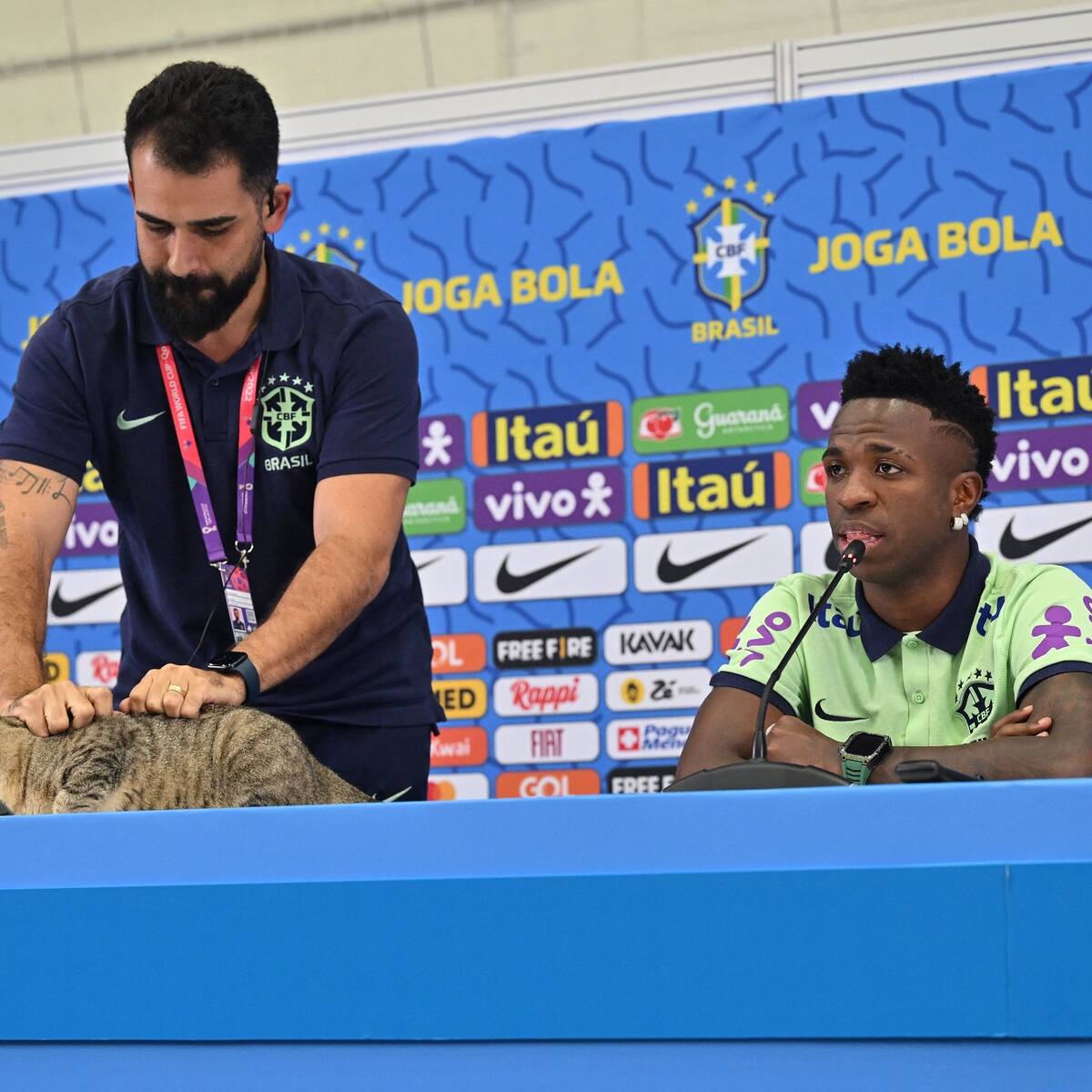 Críticas a Brasil por forma en que sacaron a un gato de la rueda de prensa de Brasil