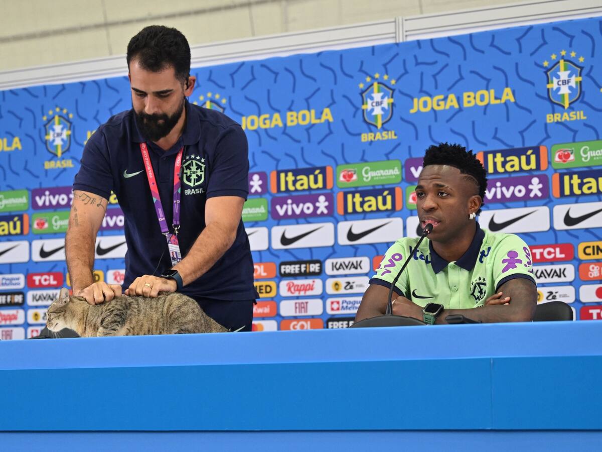 Críticas a Brasil por forma en que sacaron a un gato de la rueda de prensa de Brasil