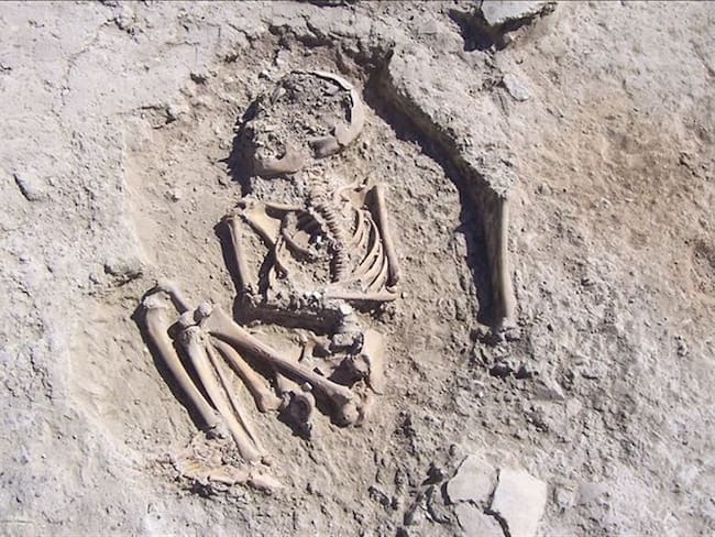 Esqueleto infantil de más de 5000 años de historia hallado en Turquía. Foto: Agencia Anadolu