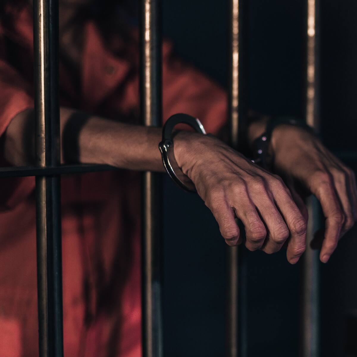 10 años de cárcel para un hombre que mató a dos perros rescatistas en México