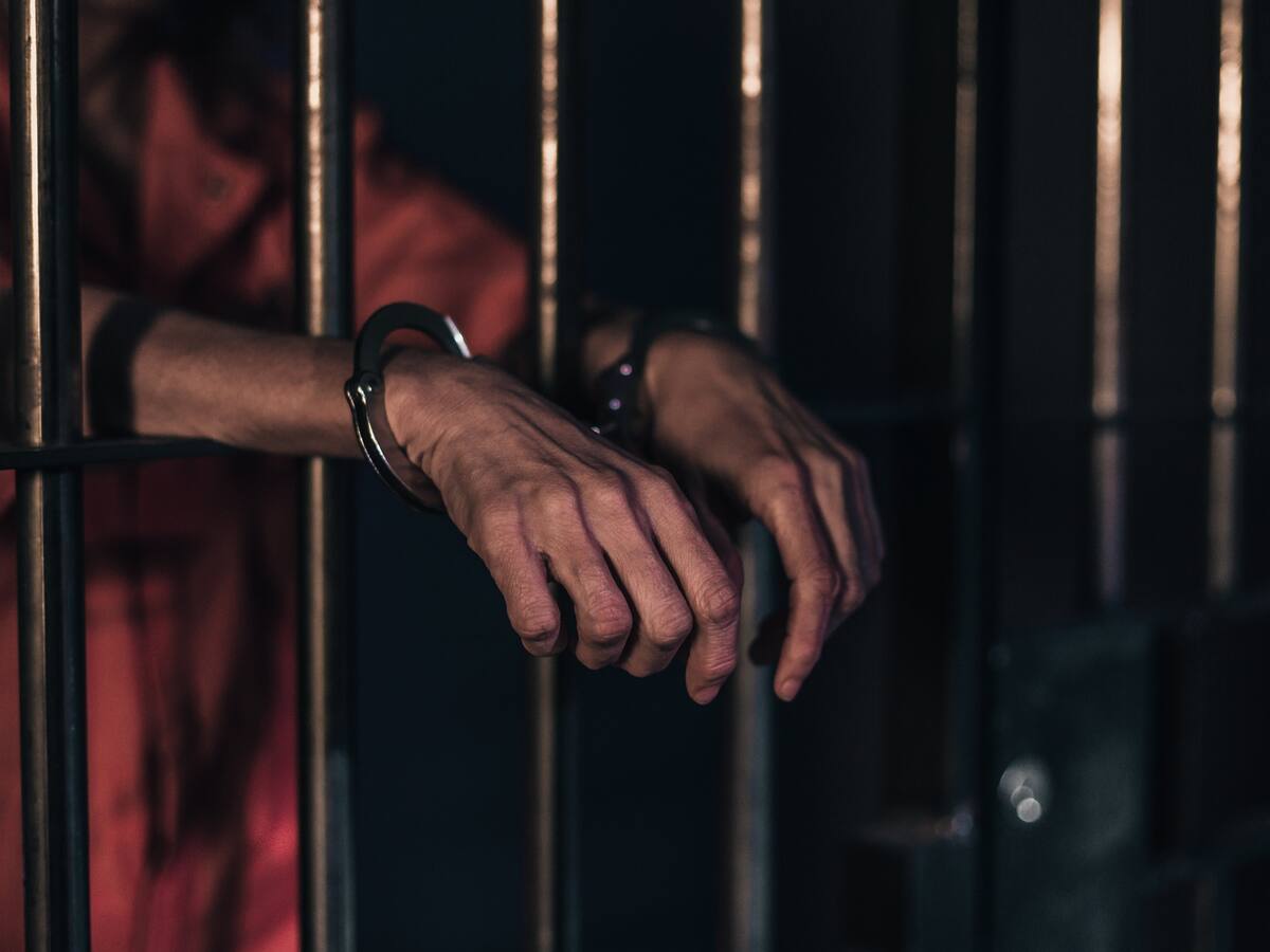 10 años de cárcel para un hombre que mató a dos perros rescatistas en México