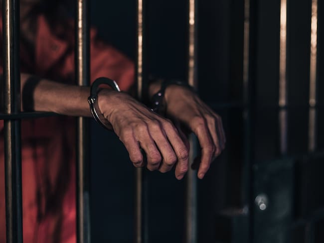 10 años de cárcel para un hombre que mató a dos perros rescatistas en México