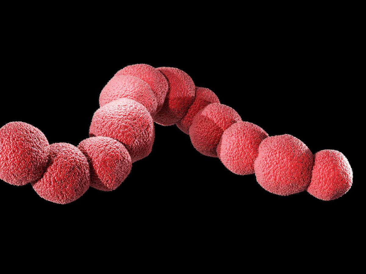 Declaran alerta sanitaria nacional por bacteria streptococcus