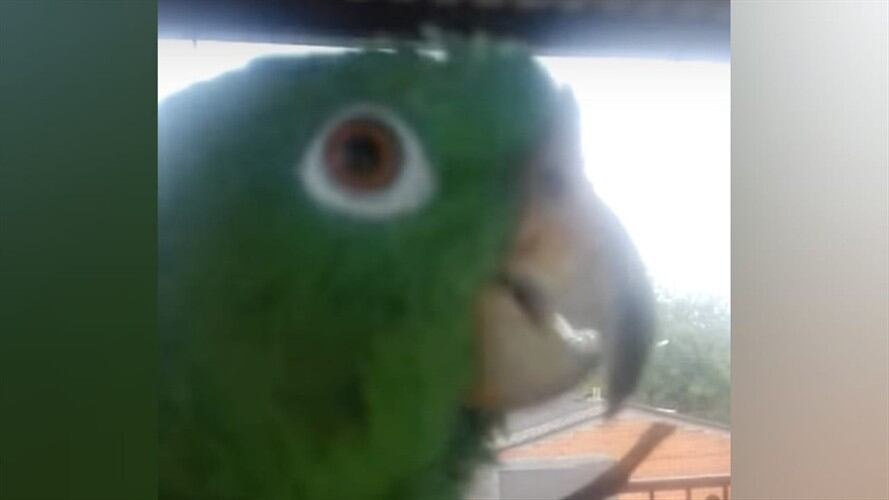 A Beto no le gusta el reguetón. Foto: Captura video YouTube Ana María García