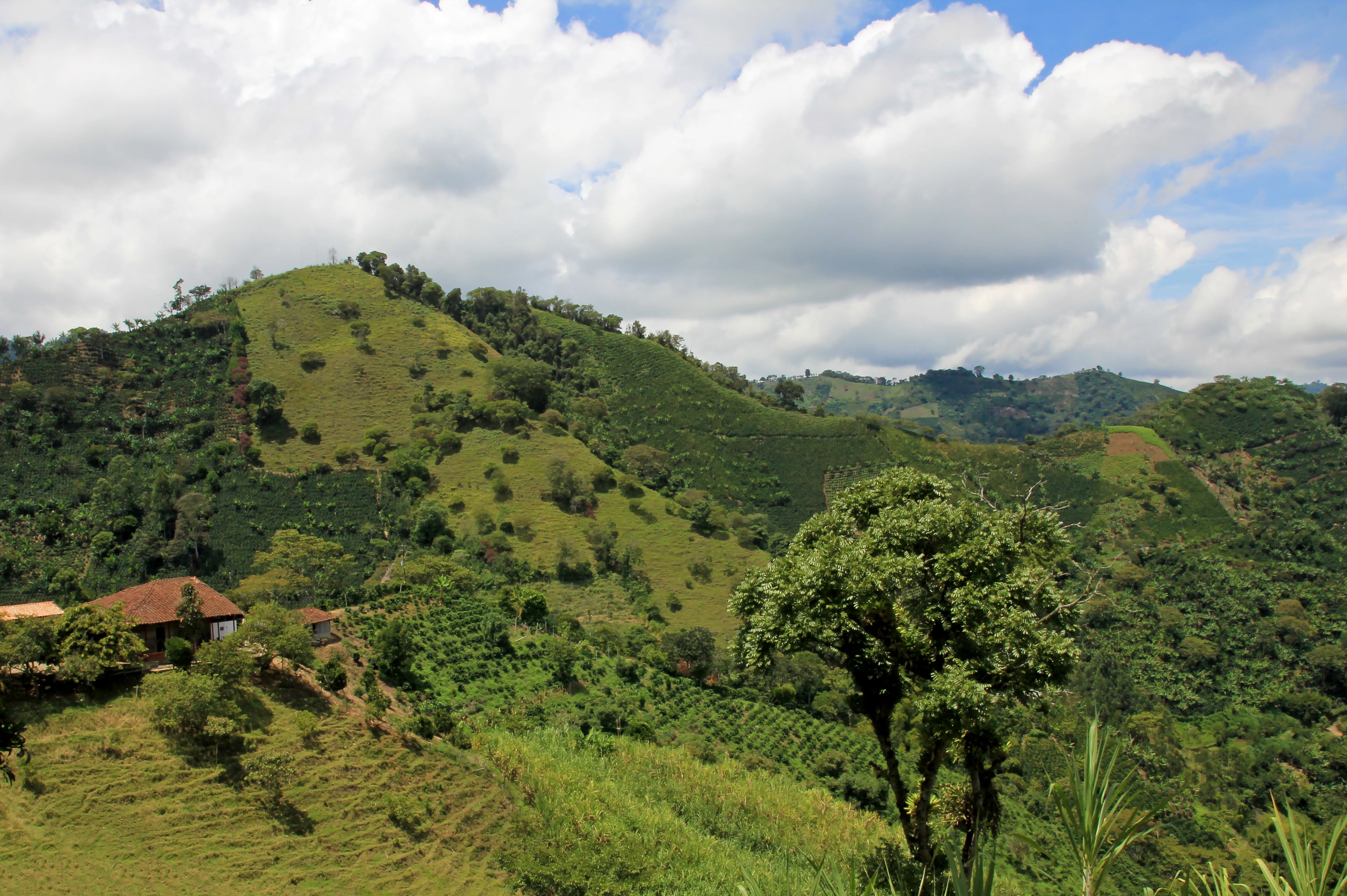 Paisaje colombiano (GettyImages)