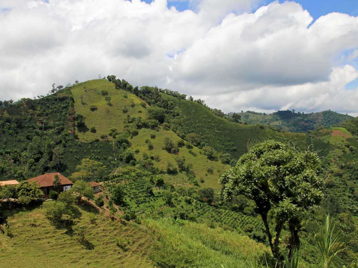 ¿Cuáles son los 9 municipios más pequeños de Colombia? Tienen menos de 33 kilómetros