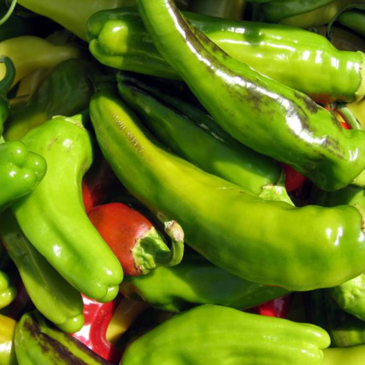 Pese a disminución de carga, descartan desabastecimiento de alimentos en Barranquilla