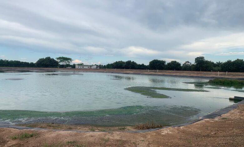 Aguas residuales Yopal. Foto: W Radio.