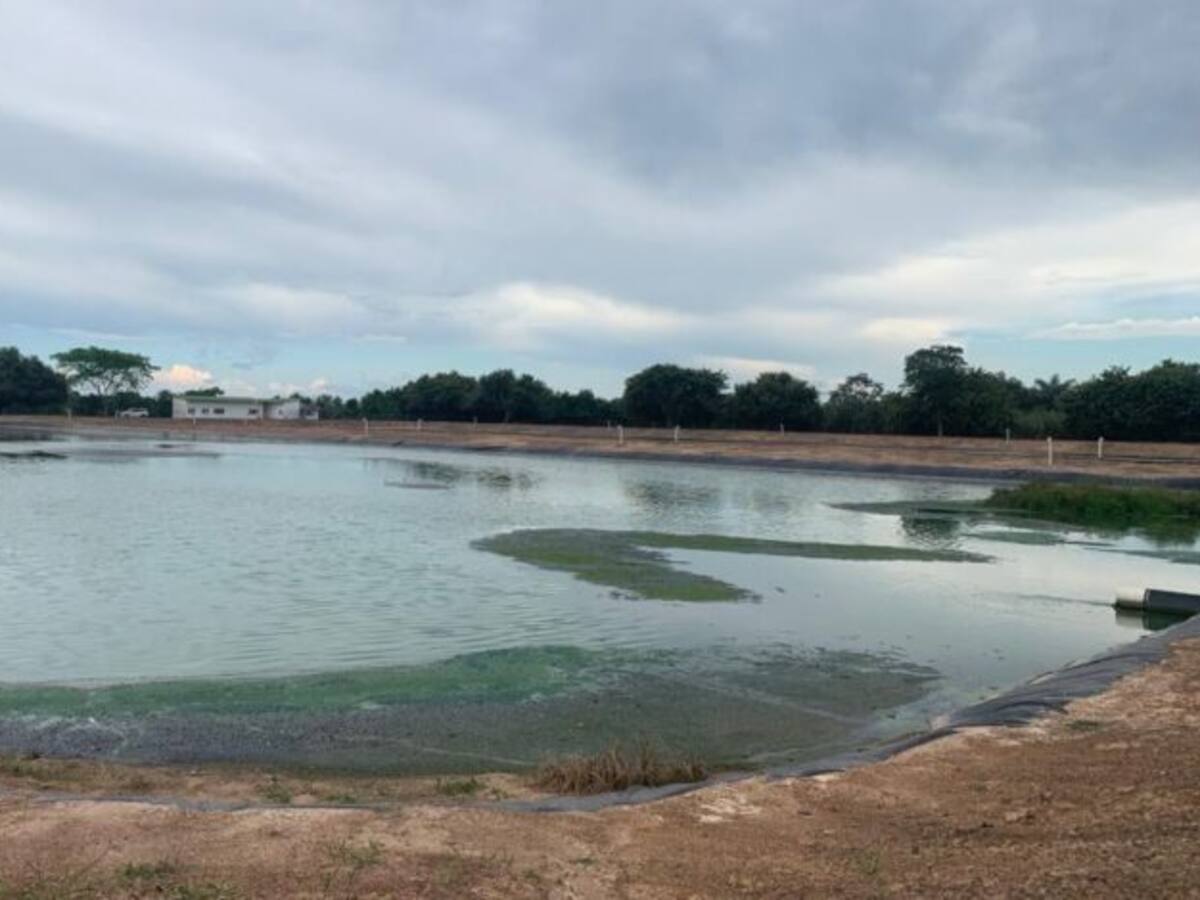 ¿Operador de Aguas de Yopal falsificó carta de multinacional para ganar contrato?