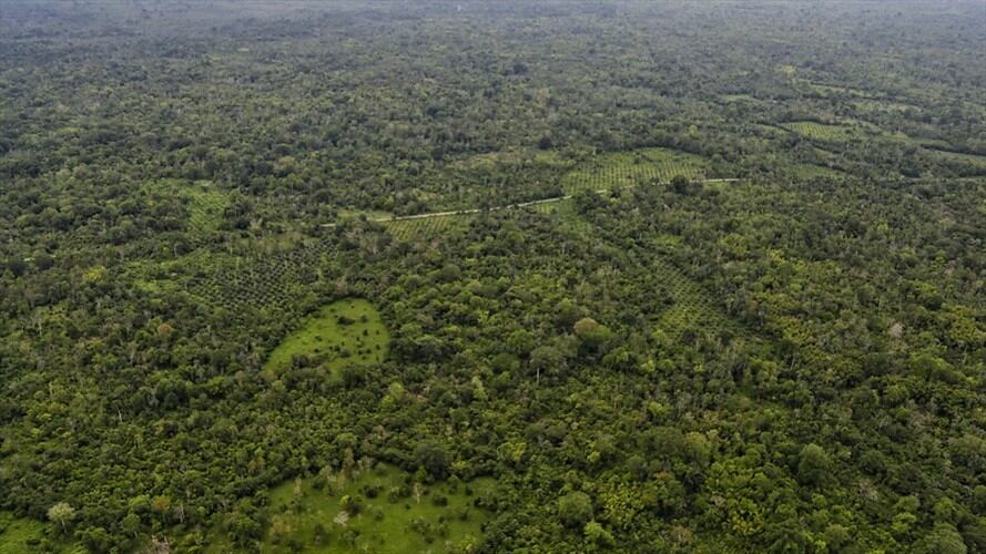 Iniciaron trabajos para quitar energía en zonas con cultivos ilícitos en Cauca. Foto: Colprensa