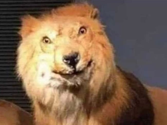 Fortaleza no aguantó y se burló de Santa Fe en Twitter. Foto: Twitter: @FortalezaCEIF