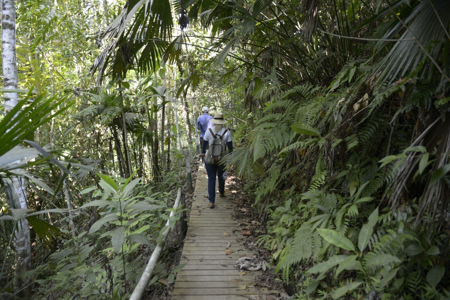 Distrito de Manejo Integrado (DMI) Guásimo en La Virginia. Crédito: Carder.
