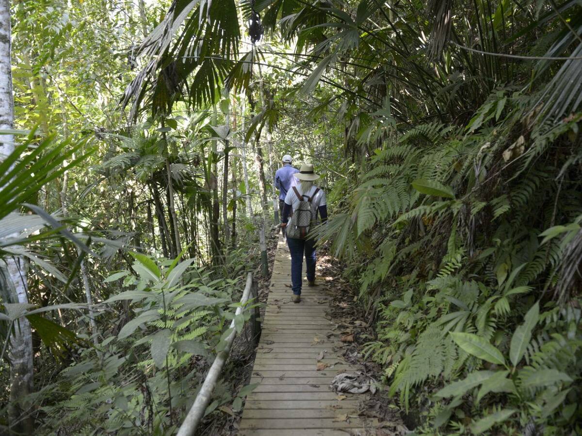 Talan uno de los tres bosques secos tropicales del país para ampliar finca ganadera