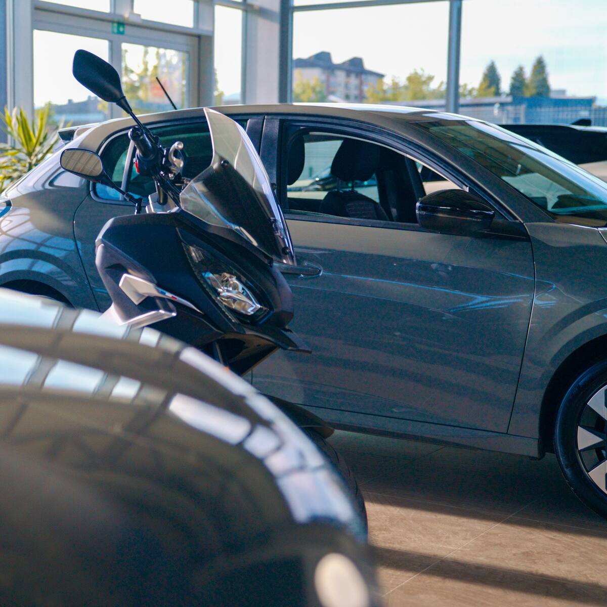 Aumentar los aranceles a carros y motos es una medida improvisada y equivocada: Fenalco