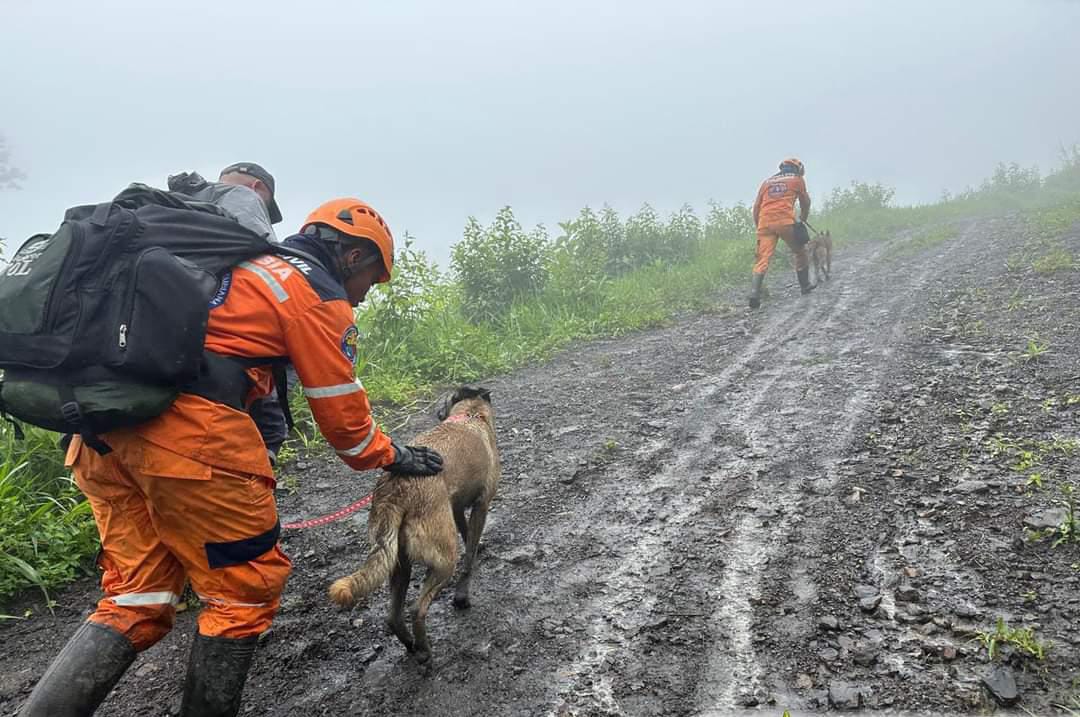 Ocho perros expertos en rescate y cerca de 30 personas hacen parte de la búsqueda y rescate de las cuatro personas que se encuentran desaparecidas en el municipio de Labranzagrande en Boyacá / Foto: Suministrada.